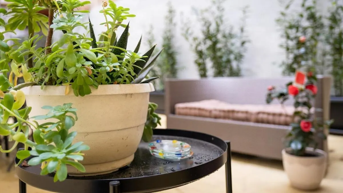 Domus Pietra In The Heart Of Rome Apartment